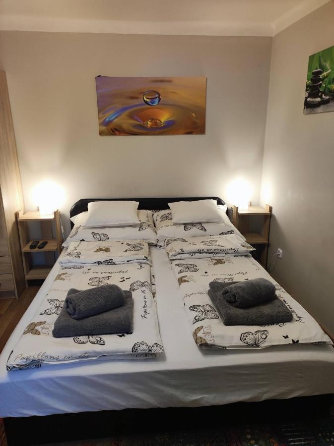 Green Garden Apartment Ingyenes Zart Parkoloval Сегед Екстериор снимка